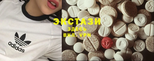 дживик Сясьстрой