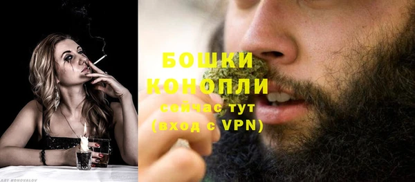 гидра Белоозёрский