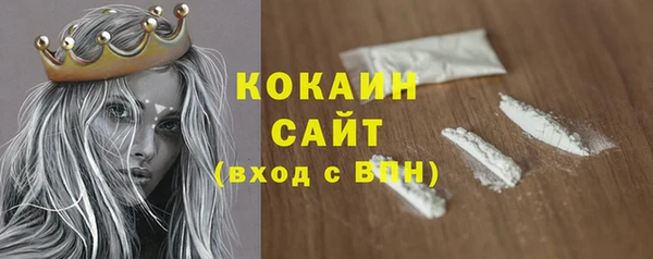 гидра Белоозёрский