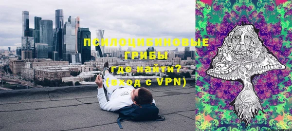 стаф Тавда