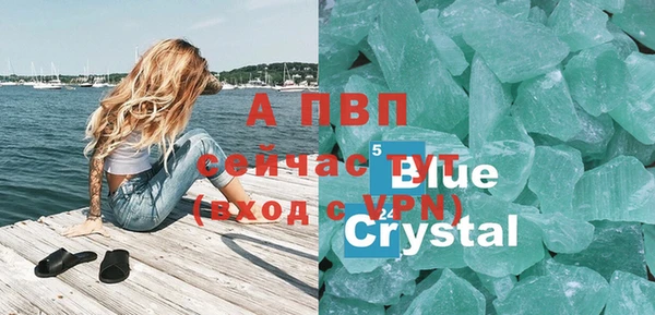 PSILOCYBIN Белокуриха