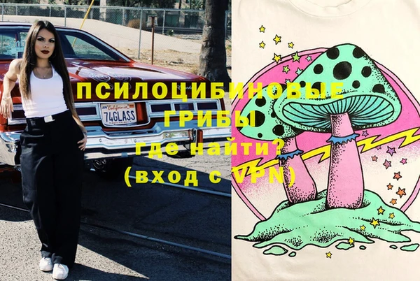 PSILOCYBIN Белокуриха