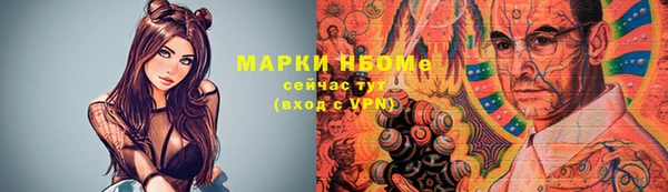 PSILOCYBIN Белокуриха