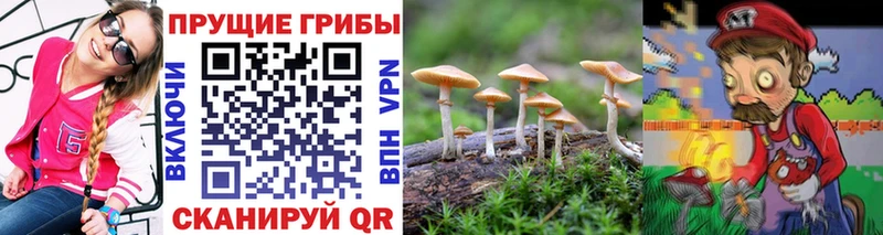 Галлюциногенные грибы прущие грибы  мега вход  Курильск 